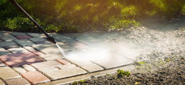 Best Sidewalk and Walkway Cleaning  in Frenchtown, NJ